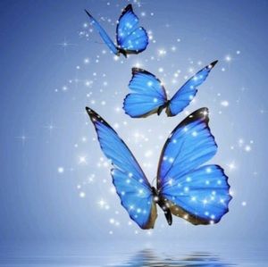 Meet your Posher, Sidal